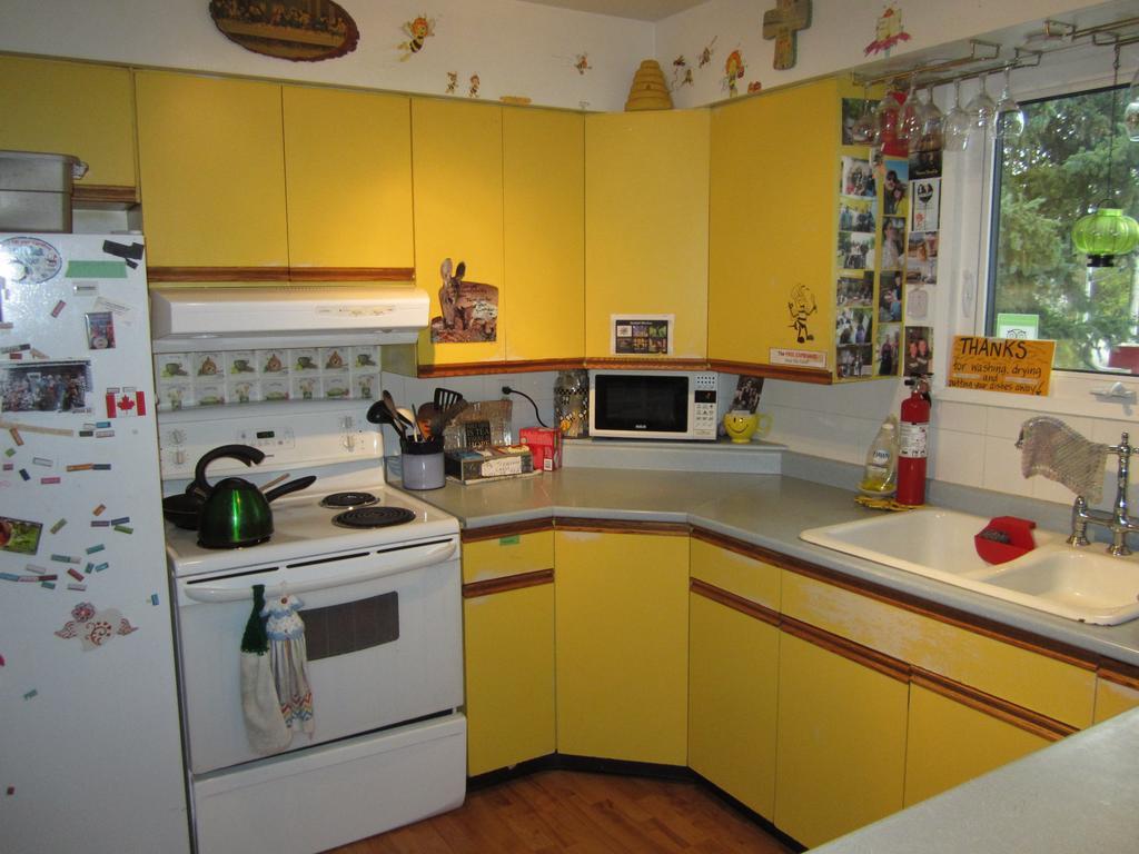 Beez Kneez Bakpakers Hostel Whitehorse Buitenkant foto